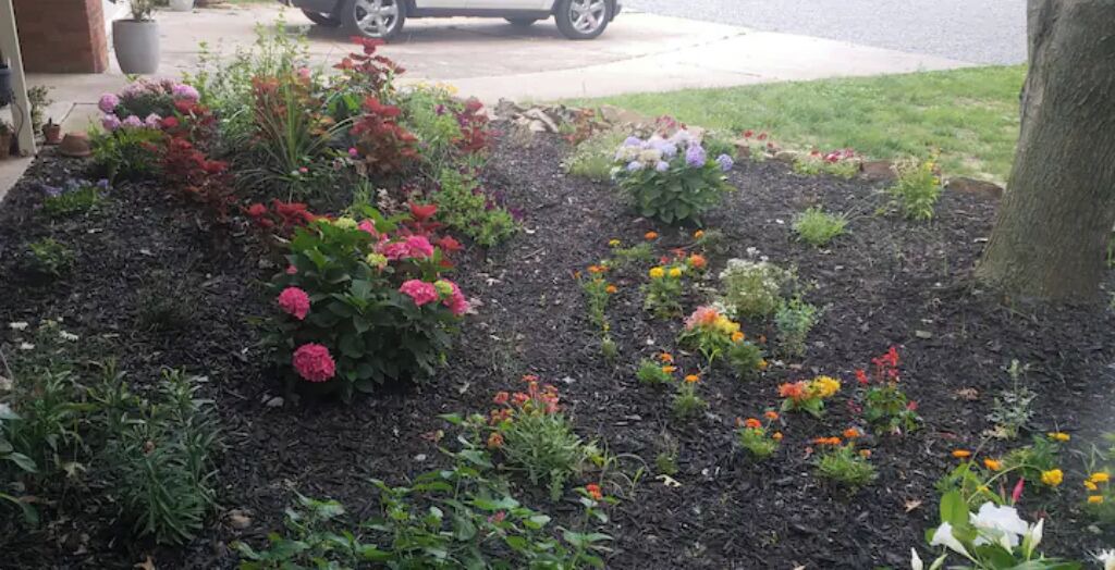 Photo of Outdoor in Muskogee