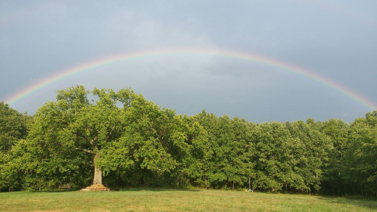 Photo of Others in Sullivan