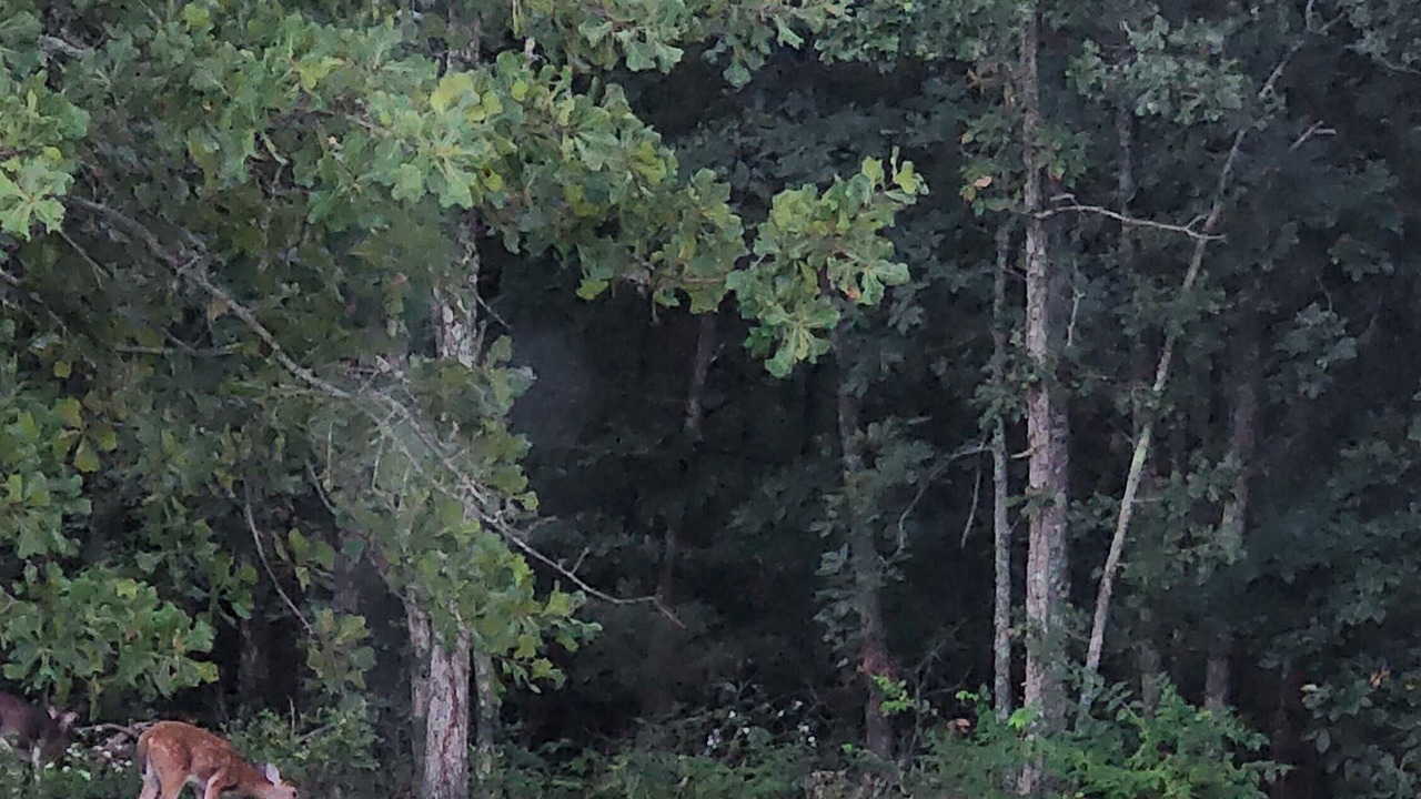 Photo of Outdoor in Sullivan