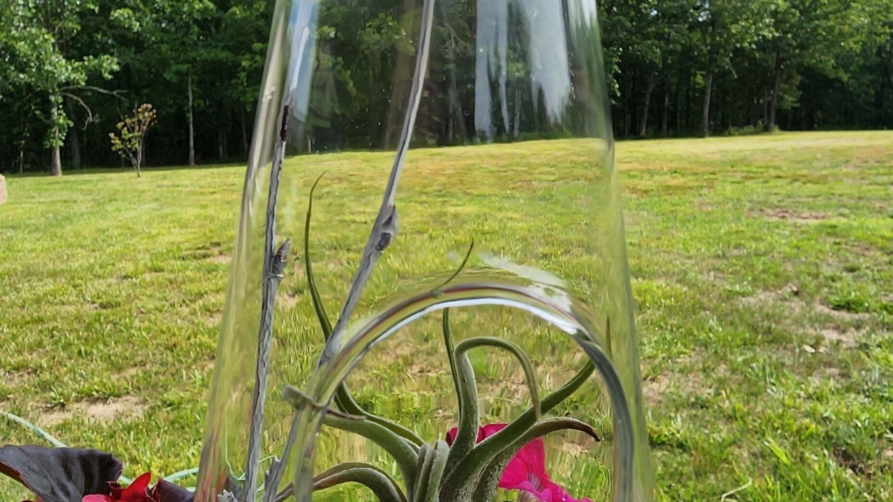 Photo of Others in Sullivan