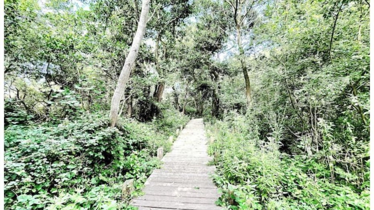 Photo of Outdoor in Ambleteuse