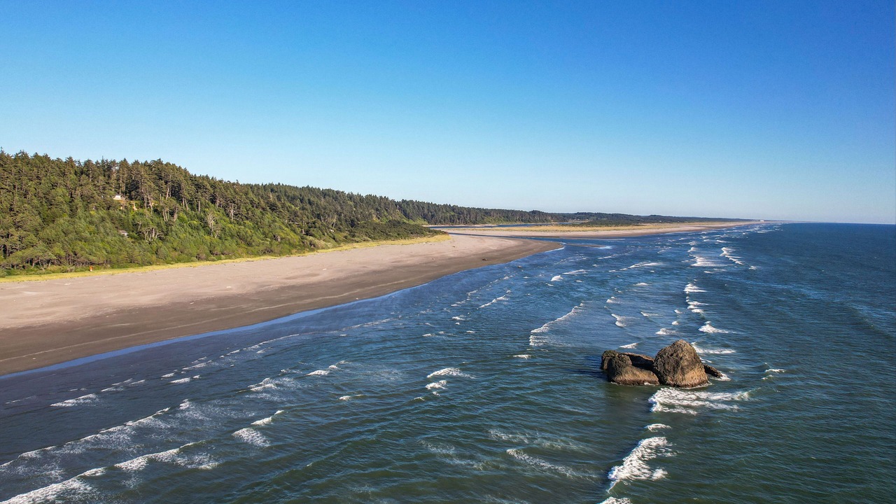 Photo of Others in Copalis Beach