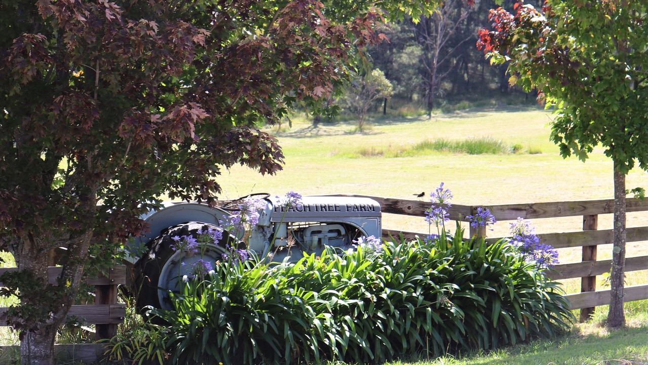 Photo of Outdoor in Megalong Valley