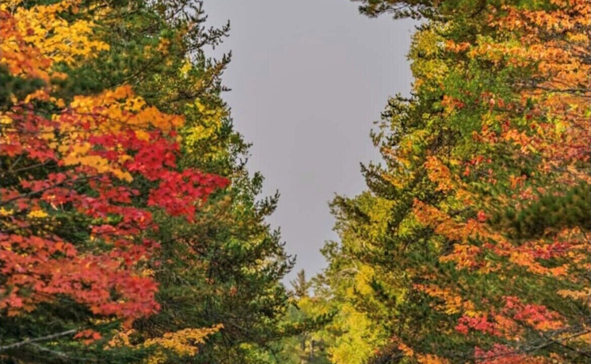 Photo of Outdoor in Lutsen