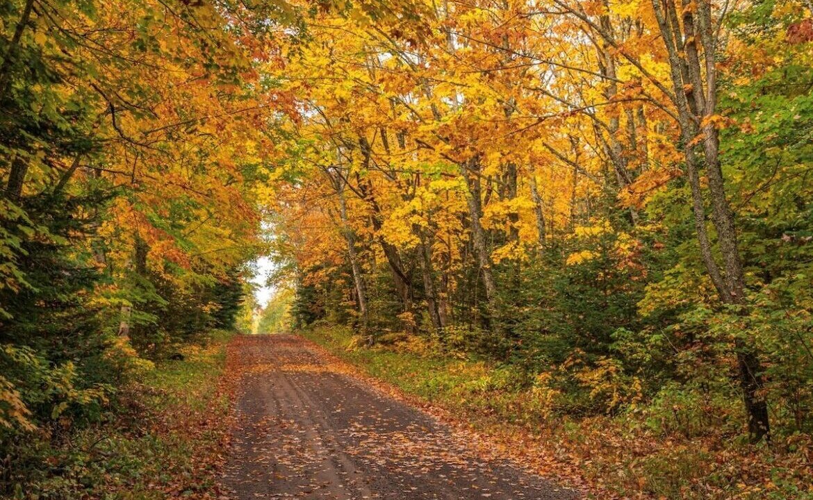Photo of Outdoor in Lutsen