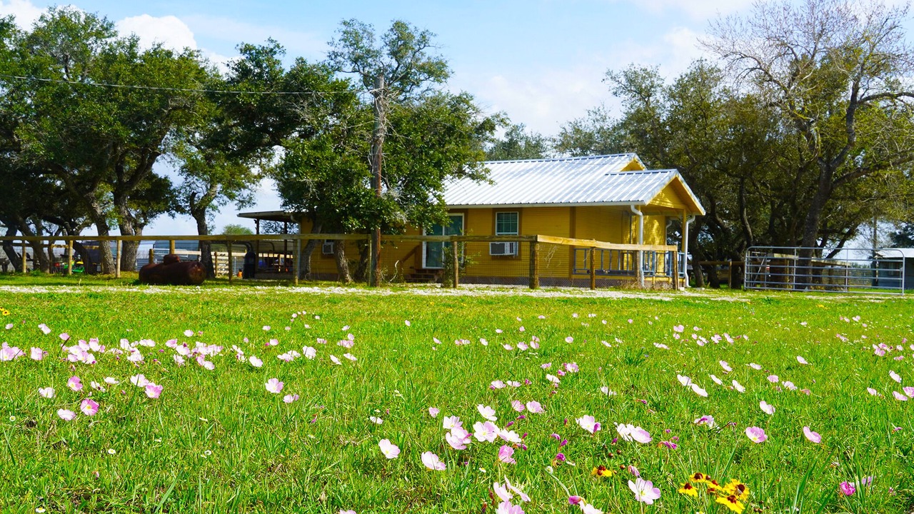 Photo of Outdoor in McFaddin