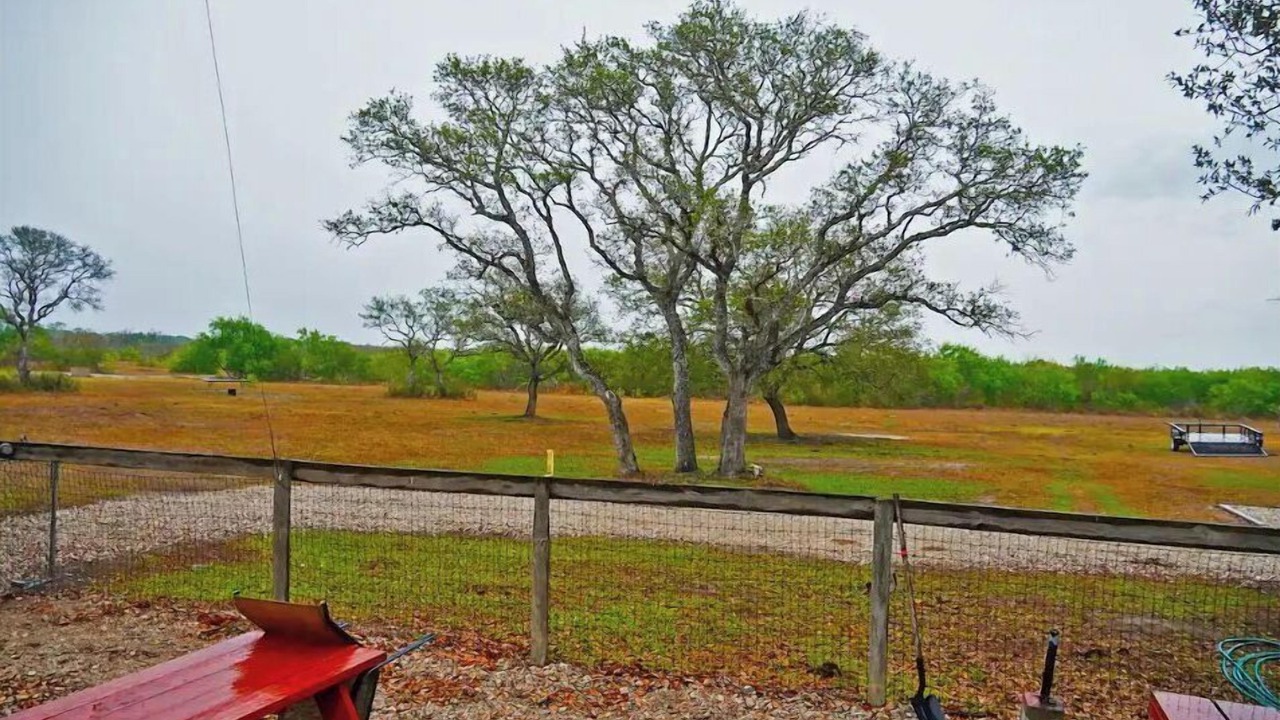 Photo of Others in McFaddin