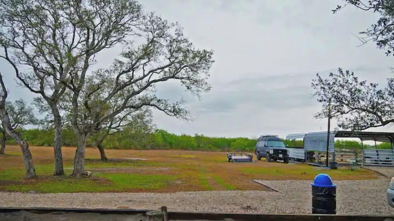 Photo of Others in McFaddin