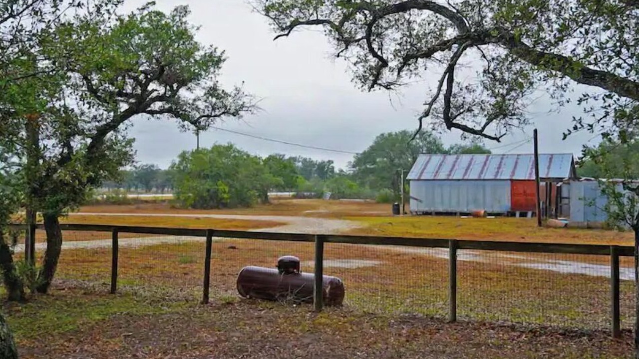 Photo of Others in McFaddin