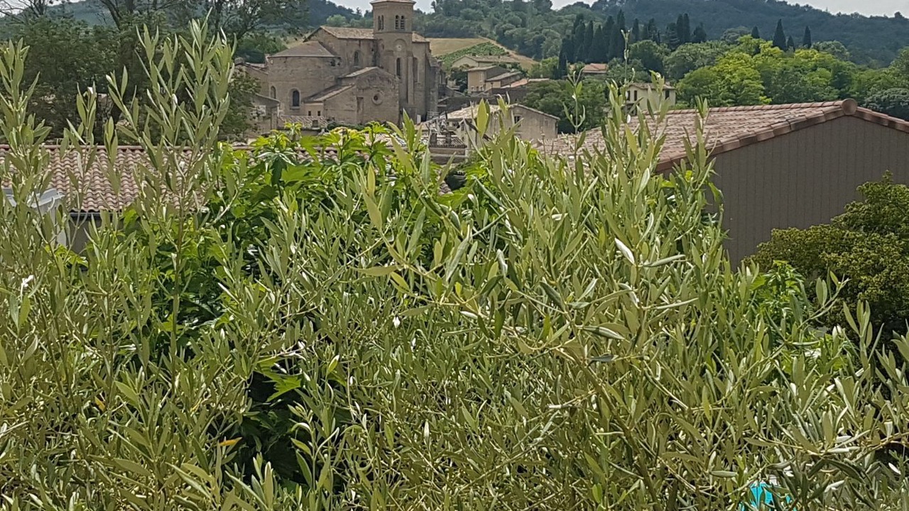 Photo of Outdoor in Saint-Hilaire