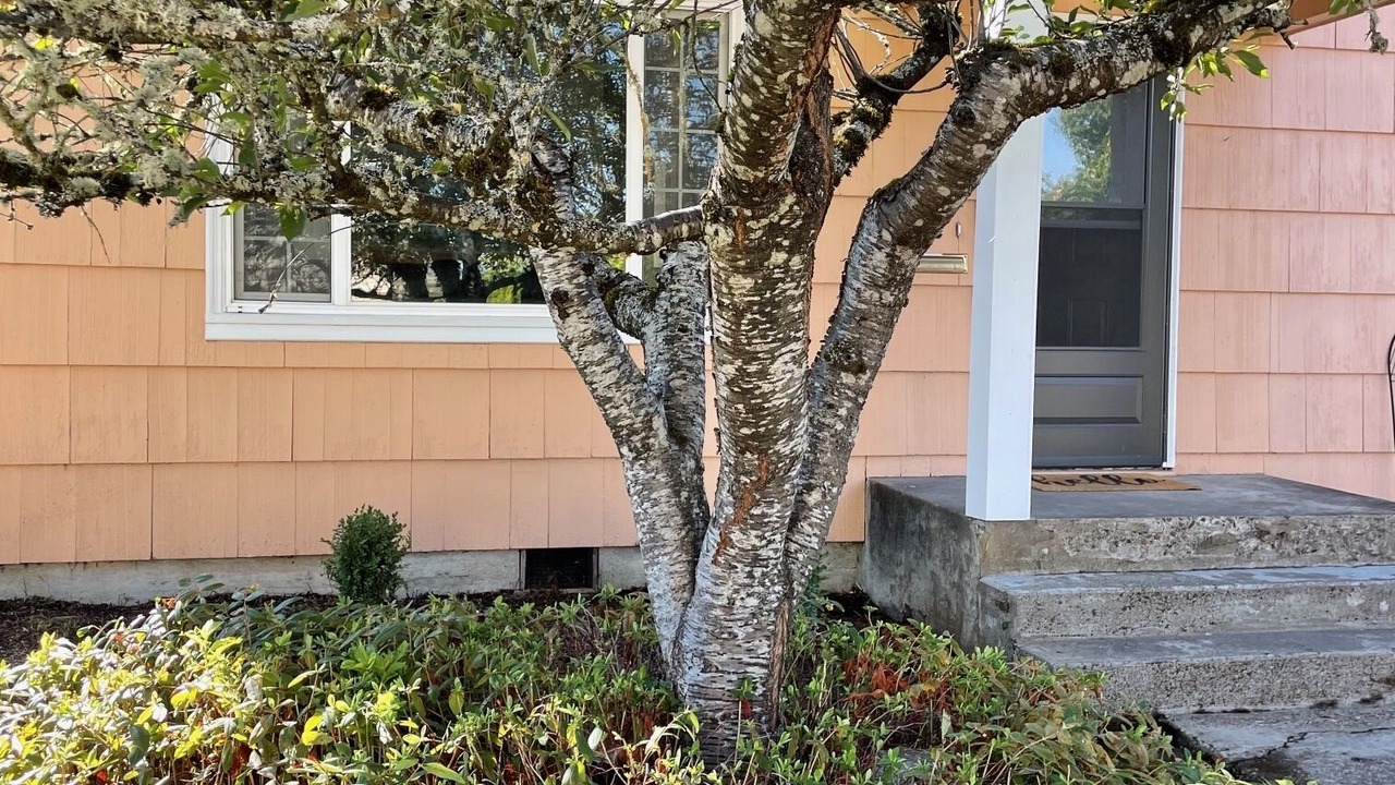 Photo of Others in Corvallis