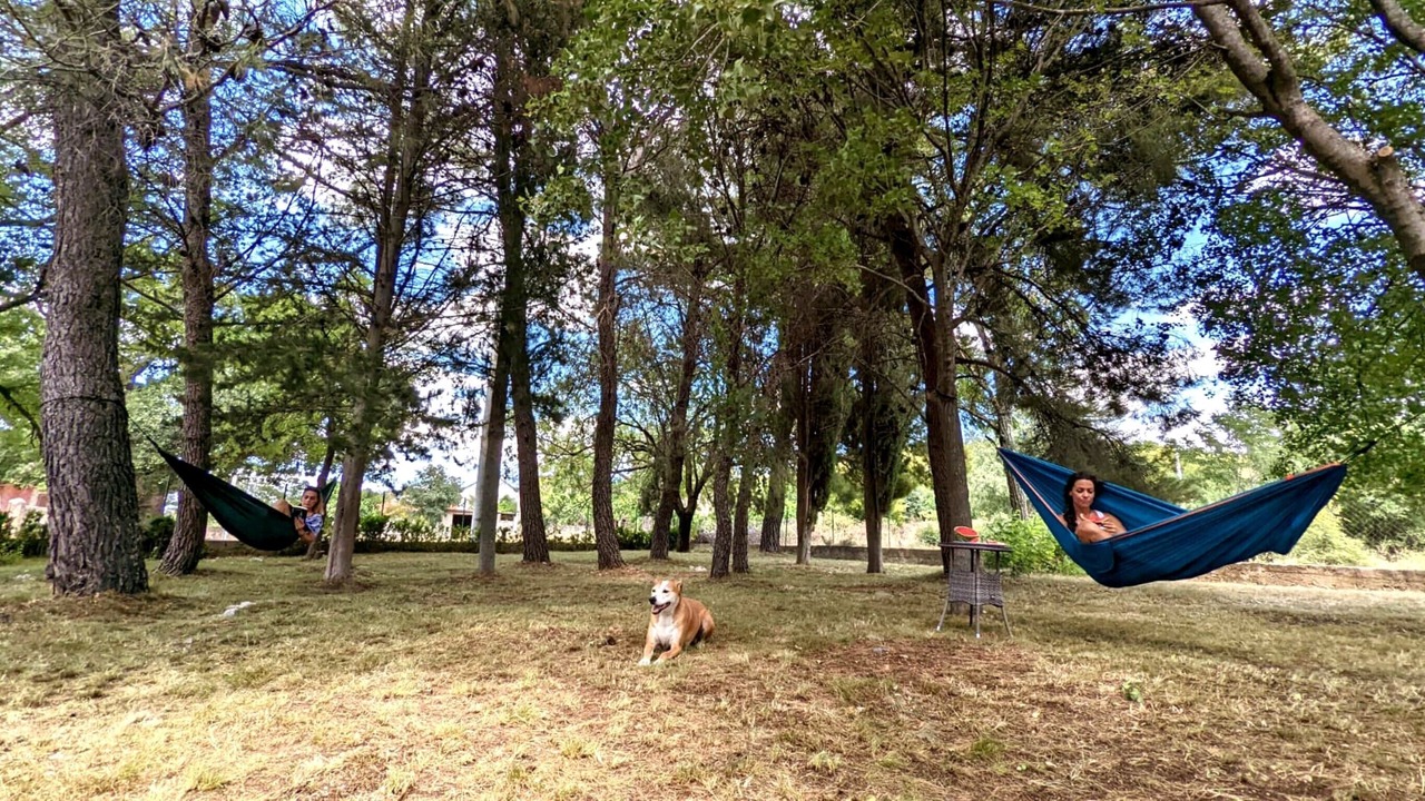 Photo of Outdoor in Benkovac