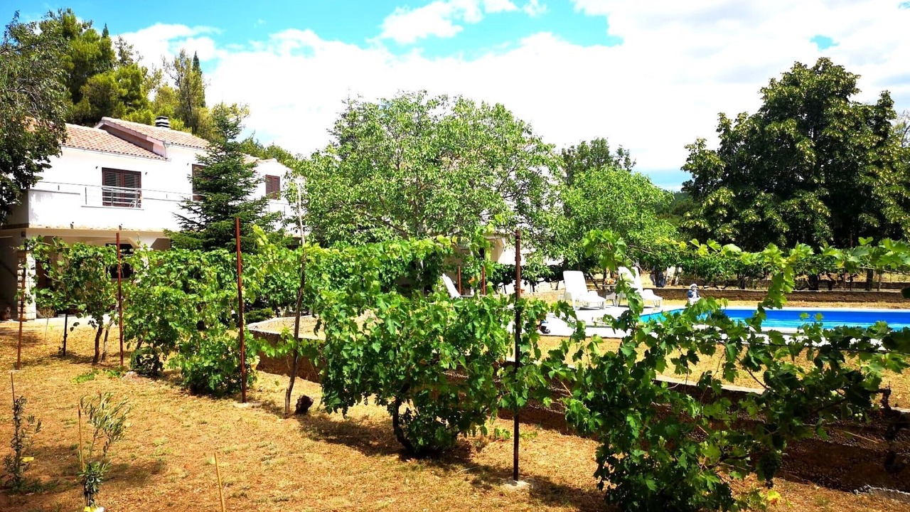 Photo of Outdoor in Benkovac
