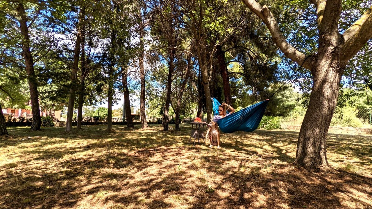 Photo of Outdoor in Benkovac
