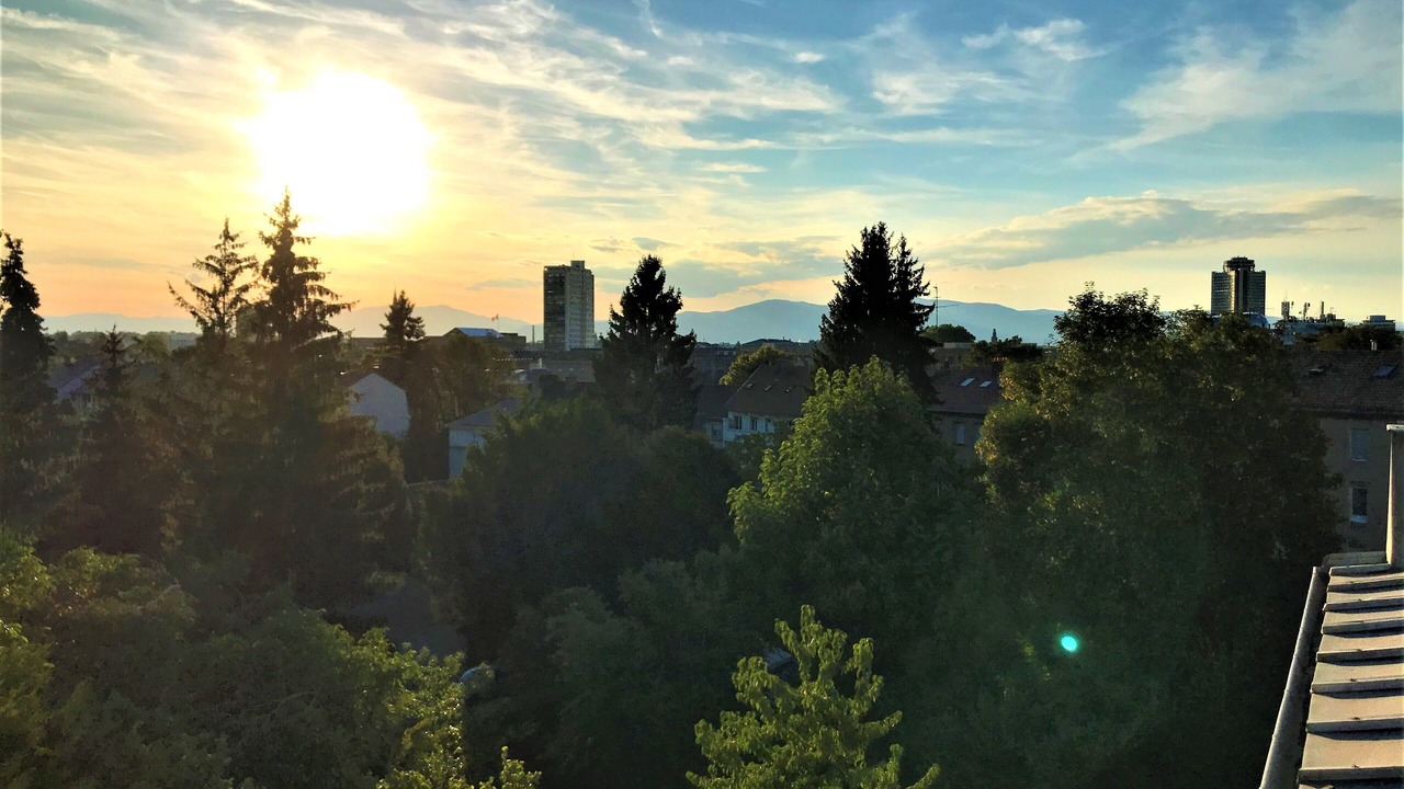 Photo of Others in Mulhouse