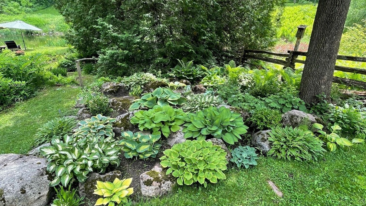 Photo of Outdoor in Caledon