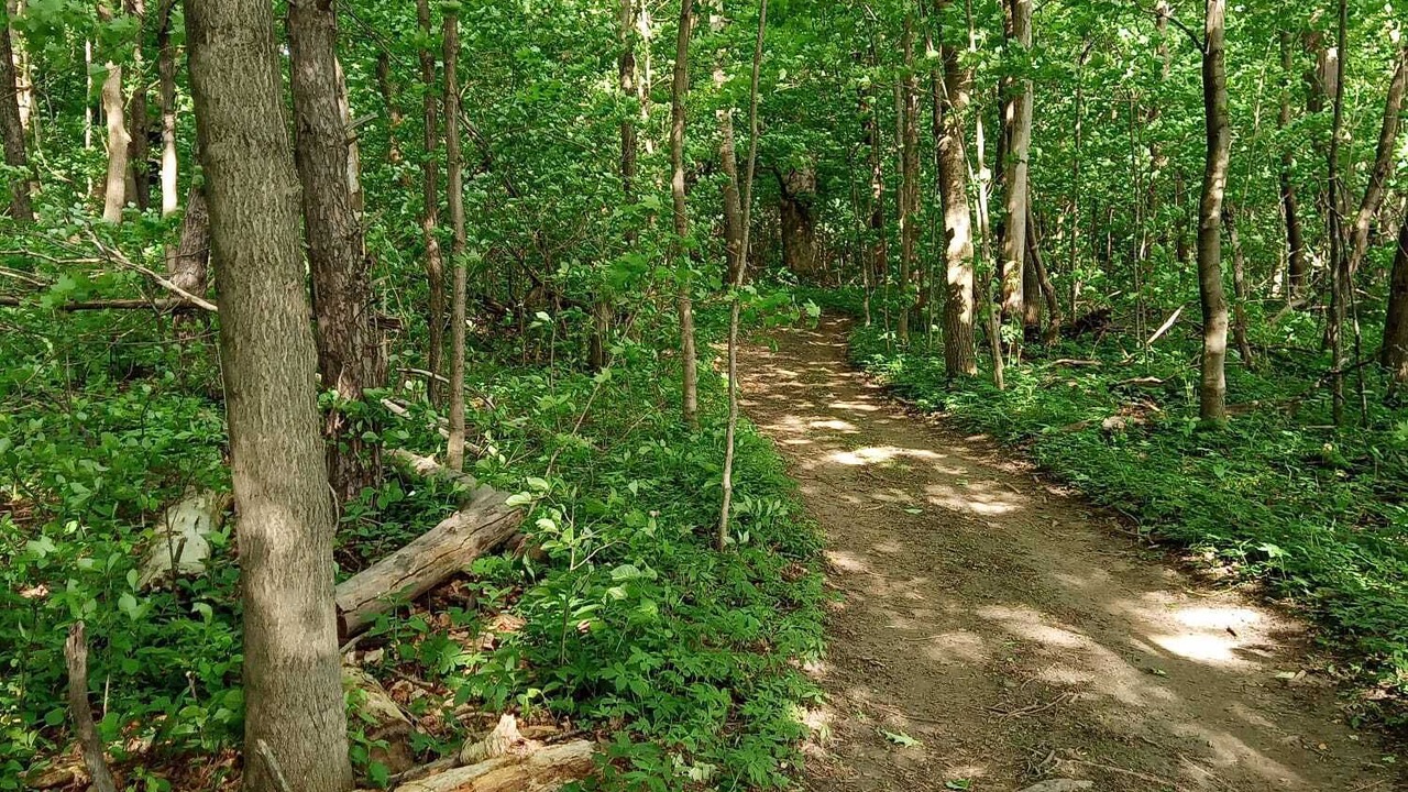 Photo of Outdoor in Caledon