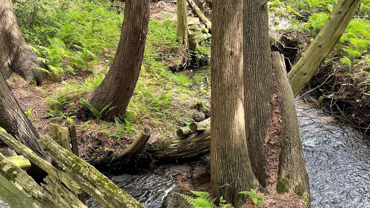 Photo of Outdoor in Caledon