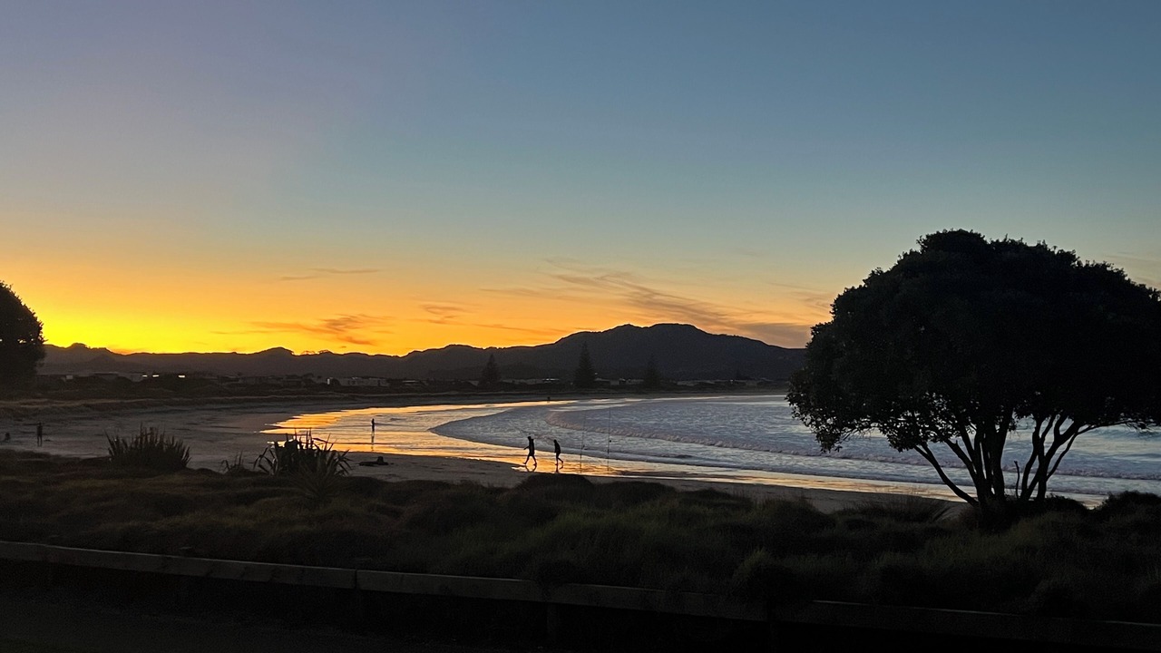 Photo of Others in Pataua