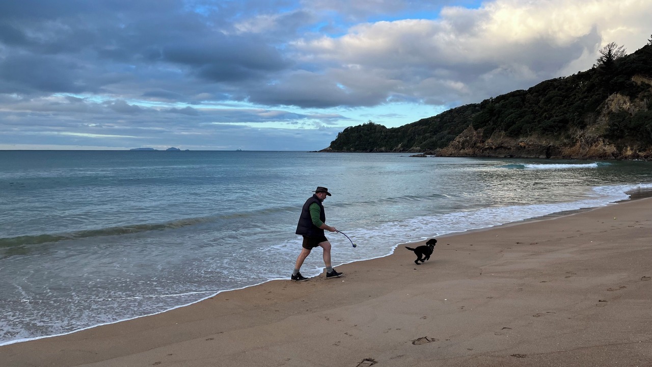 Photo of Others in Pataua