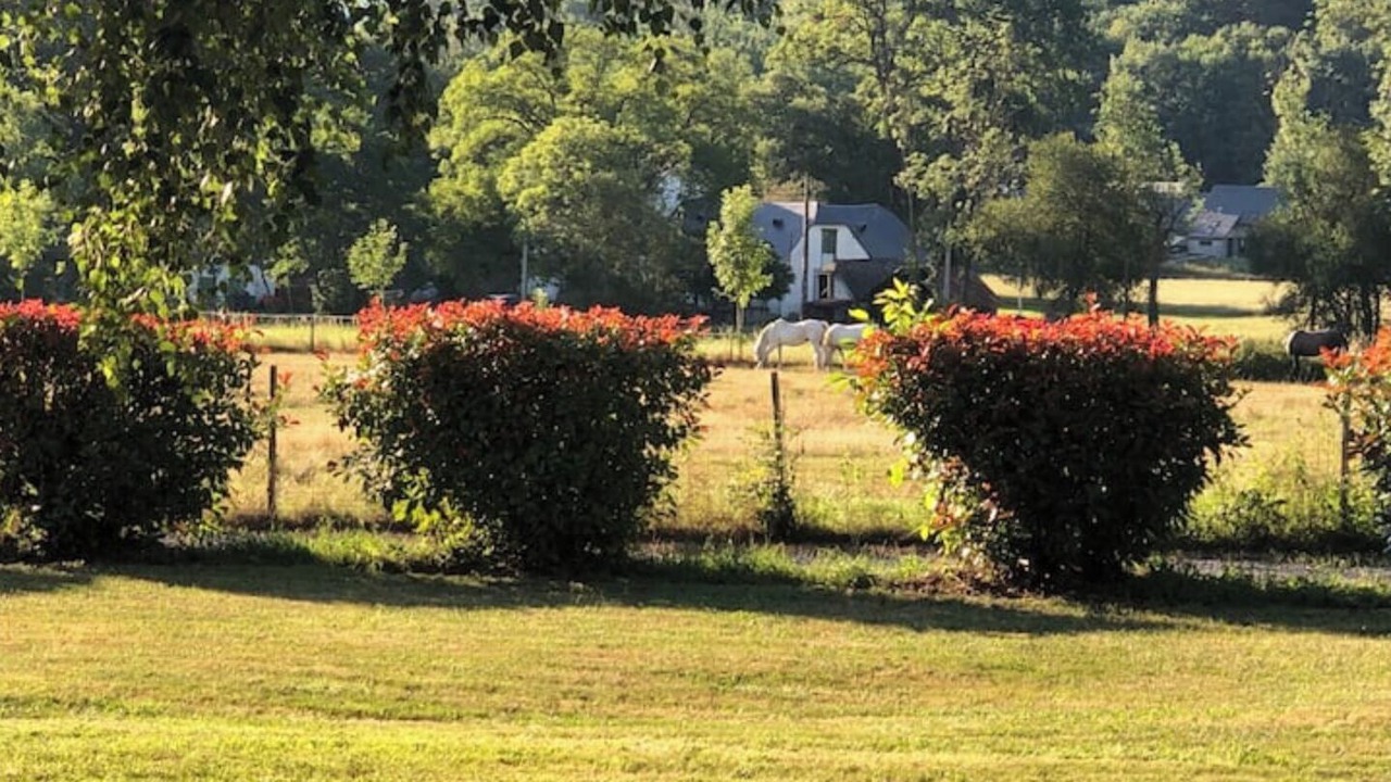 Photo of Outdoor in Prechac
