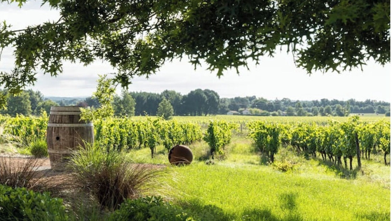 Photo of Outdoor in Campsas