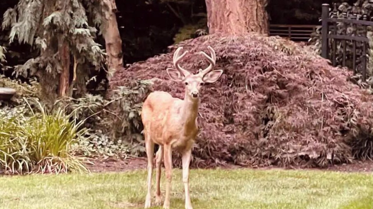 Photo of Outdoor in Mercer Island