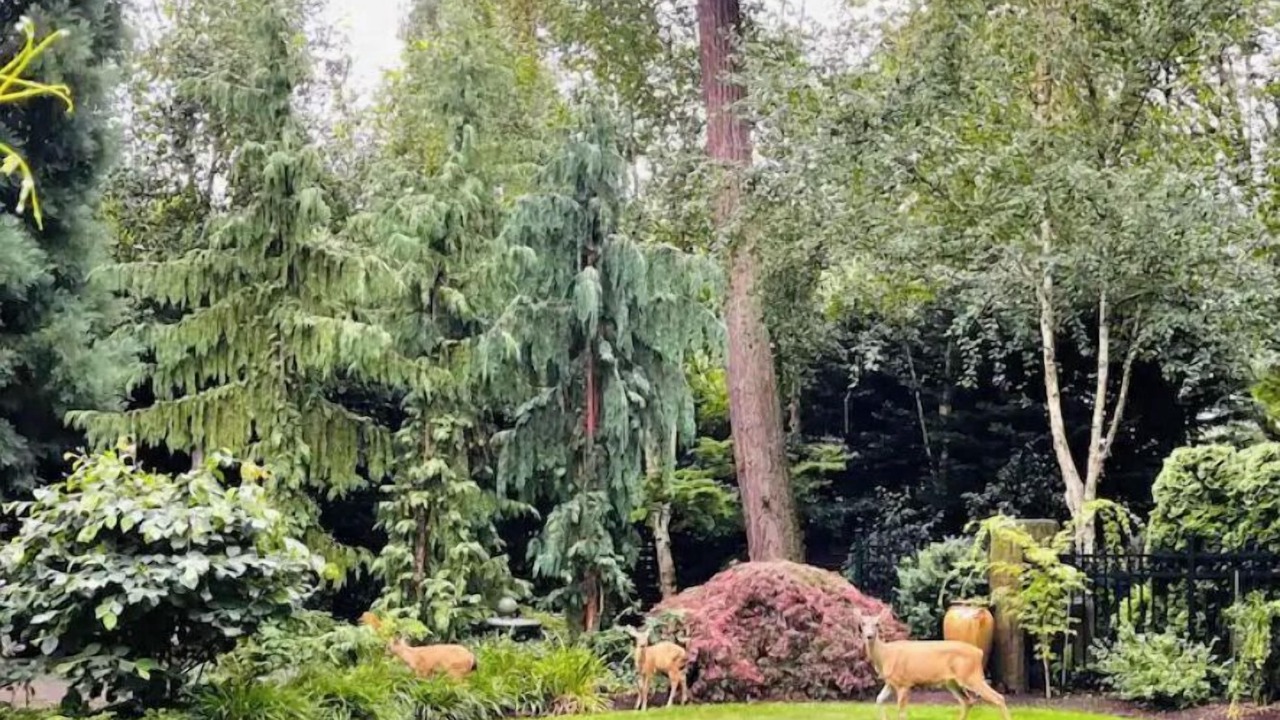 Photo of Outdoor in Mercer Island