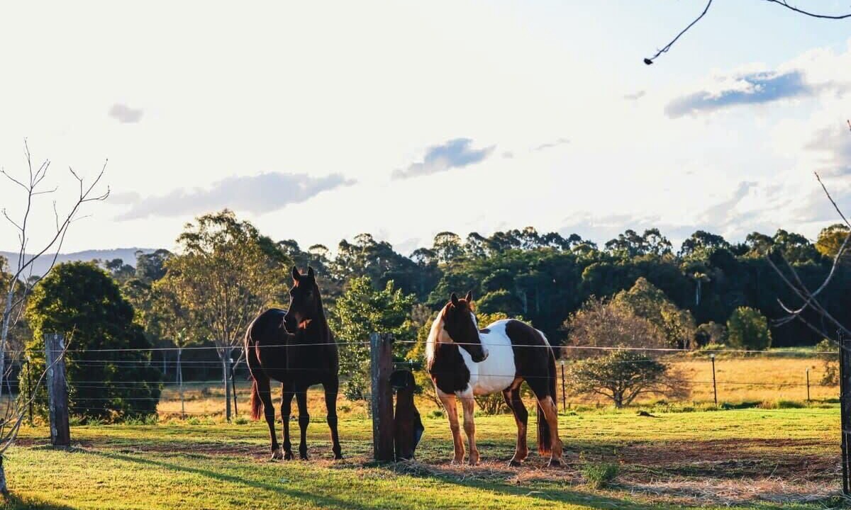 Photo of Outdoor in Myocum