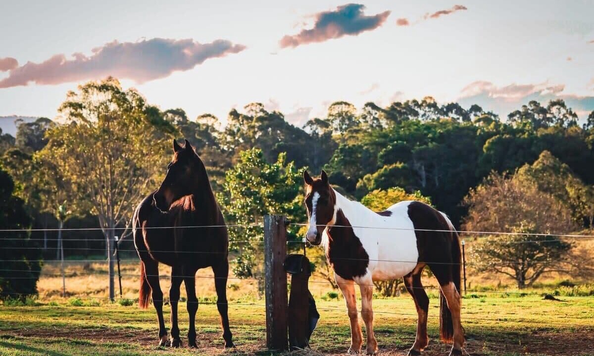 Photo of Others in Myocum