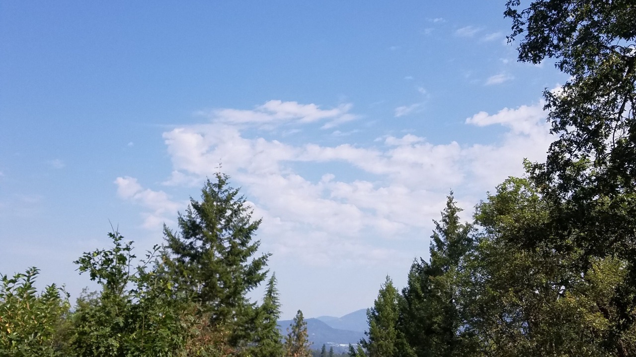 Photo of Outdoor in Murphy