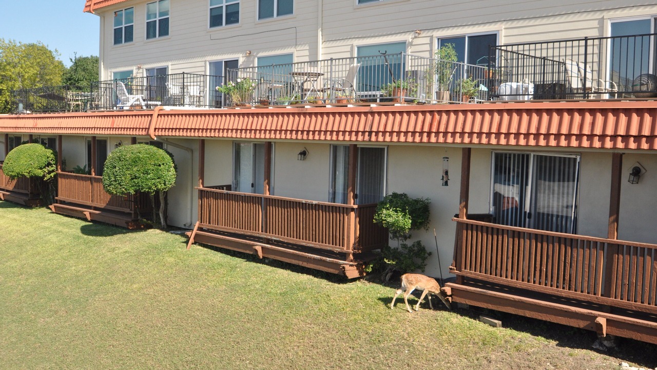 Photo of Outdoor in Highland Lake Estates