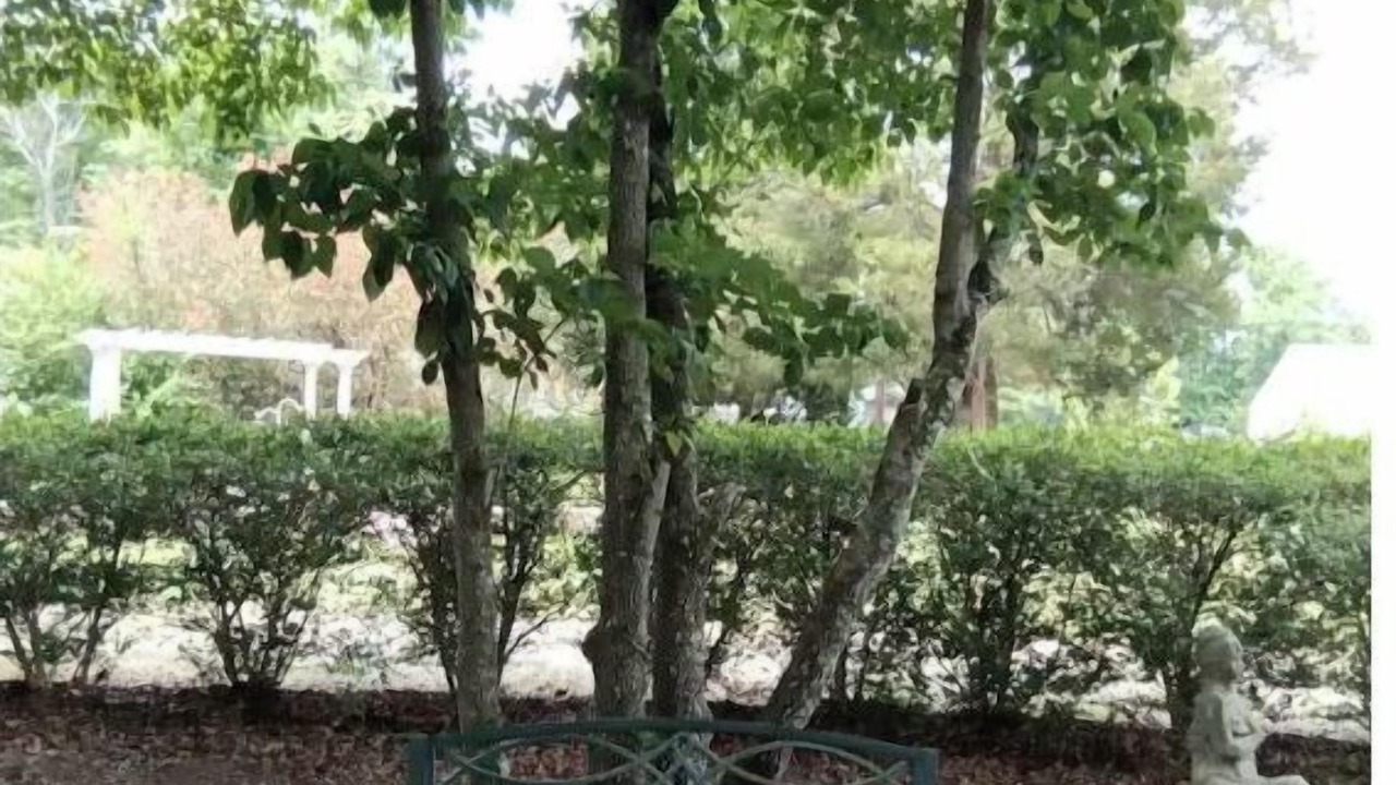 Photo of Outdoor in Mathews