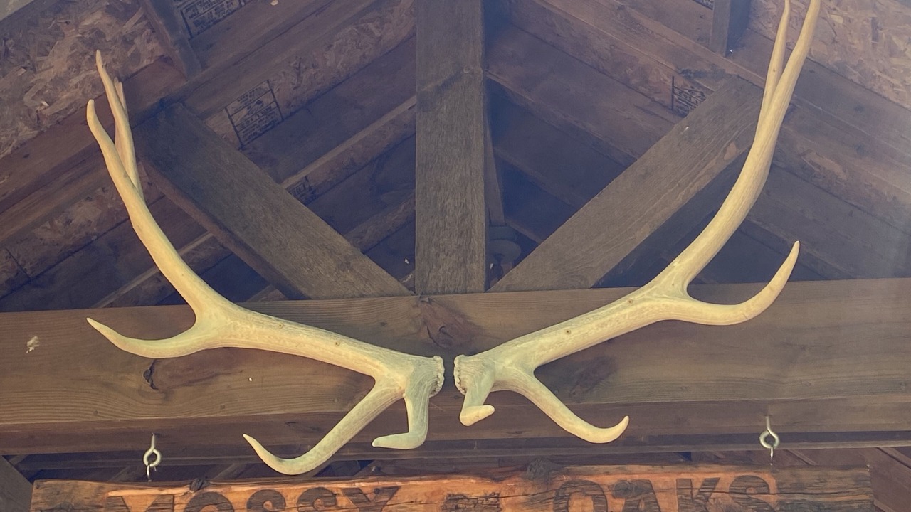 Photo of Outdoor in Atlanta