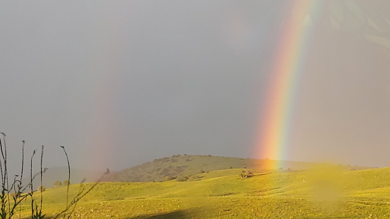 Photo of Others in Mule Creek