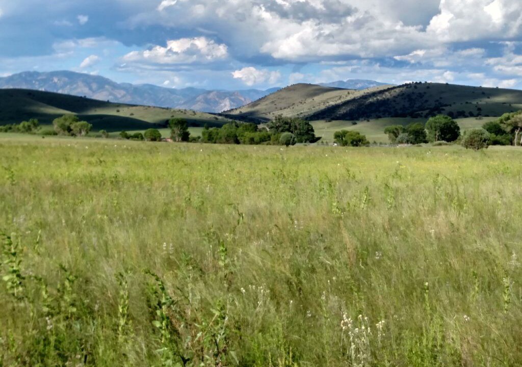 Photo of Outdoor in Mule Creek