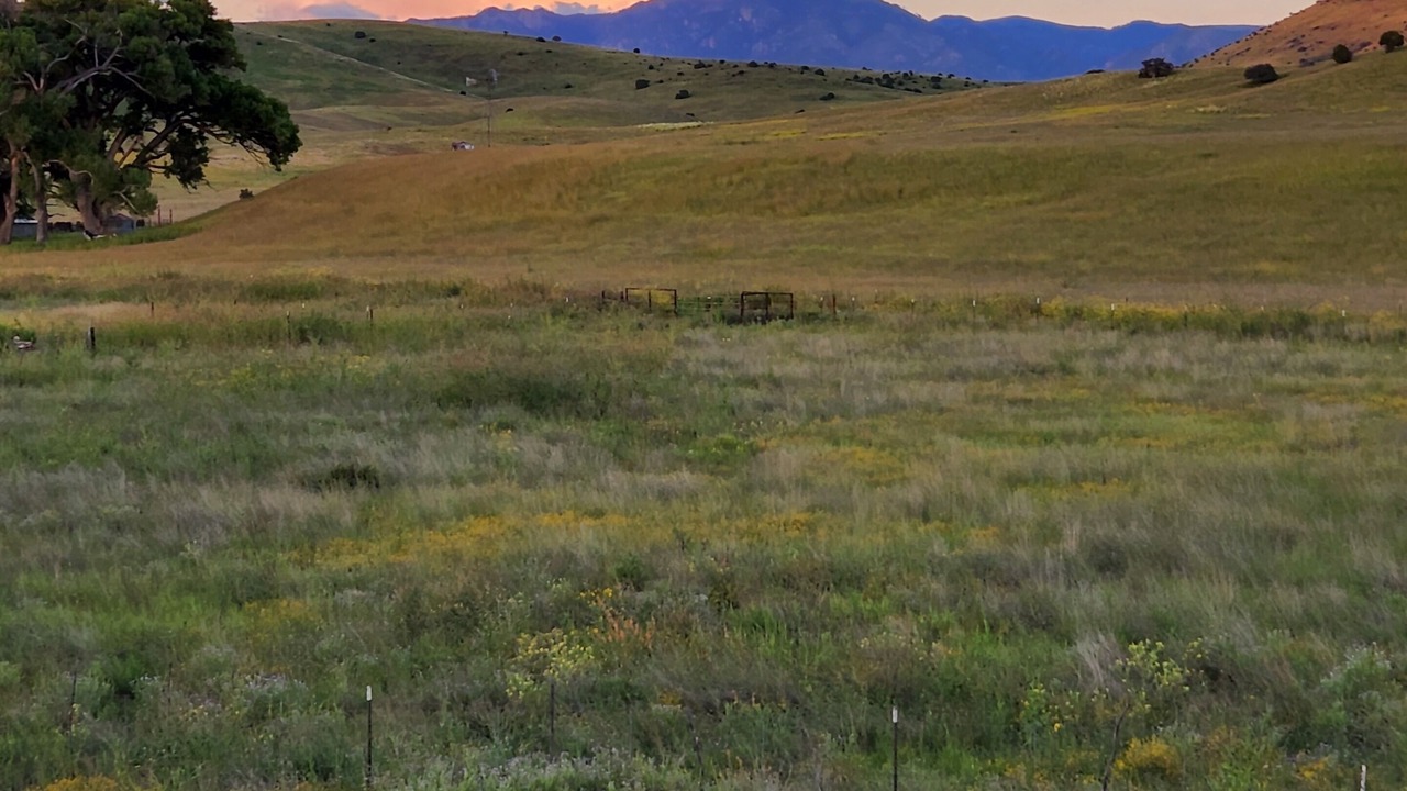 Photo of Others in Mule Creek