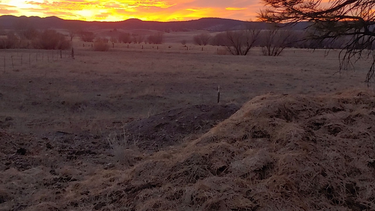 Photo of Others in Mule Creek