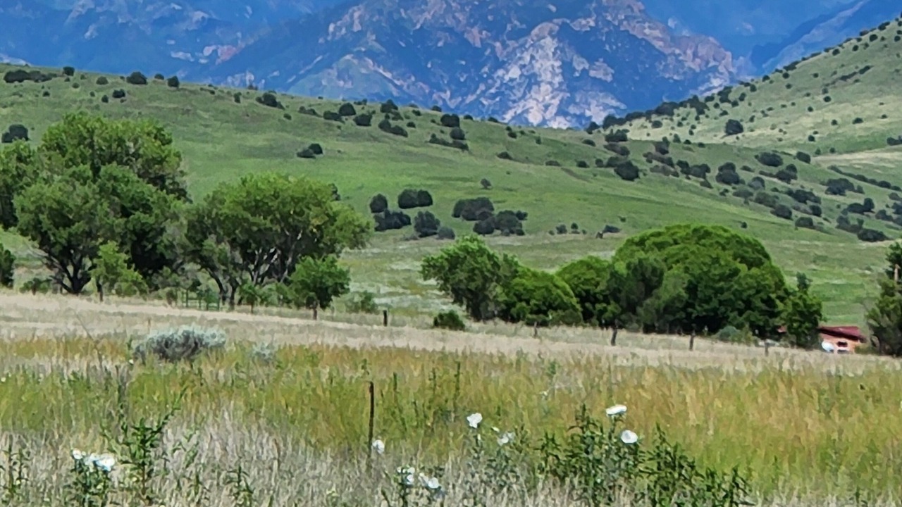 Photo of Others in Mule Creek