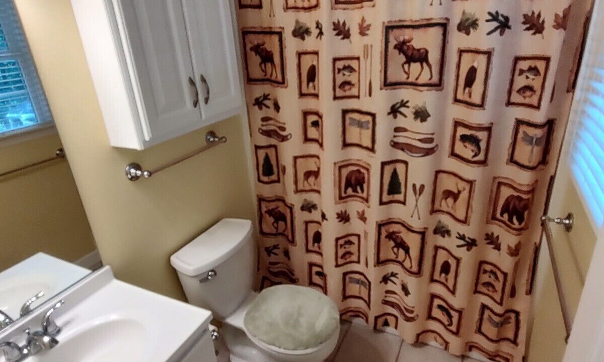 Photo of Bathroom in Leasburg