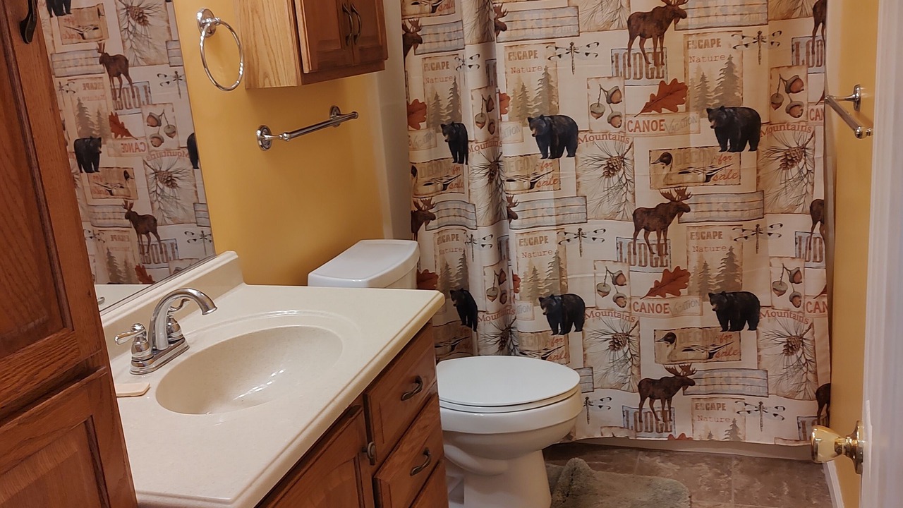 Photo of Bathroom in Leasburg