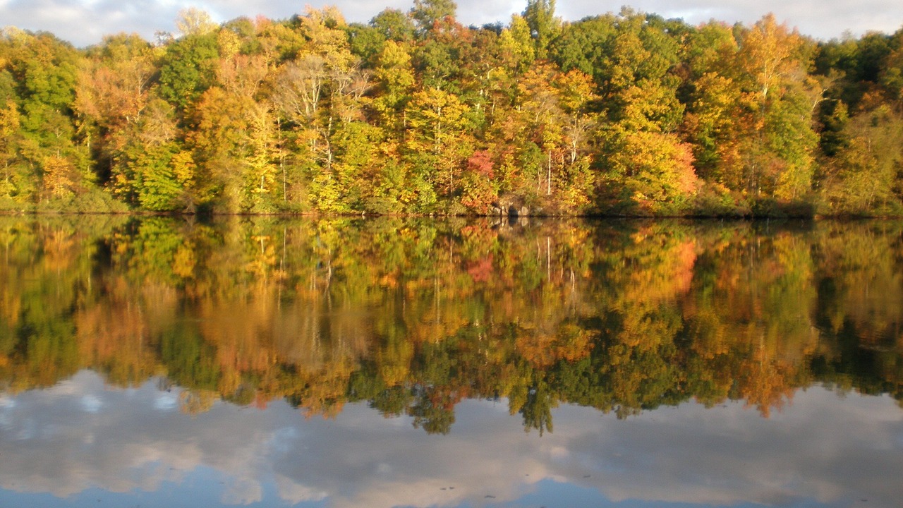 Photo of Others in Leasburg