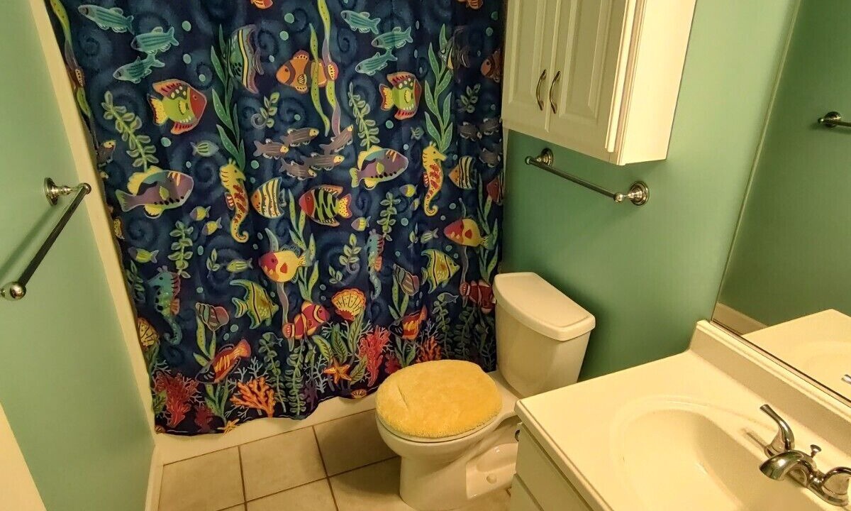 Photo of Bathroom in Leasburg