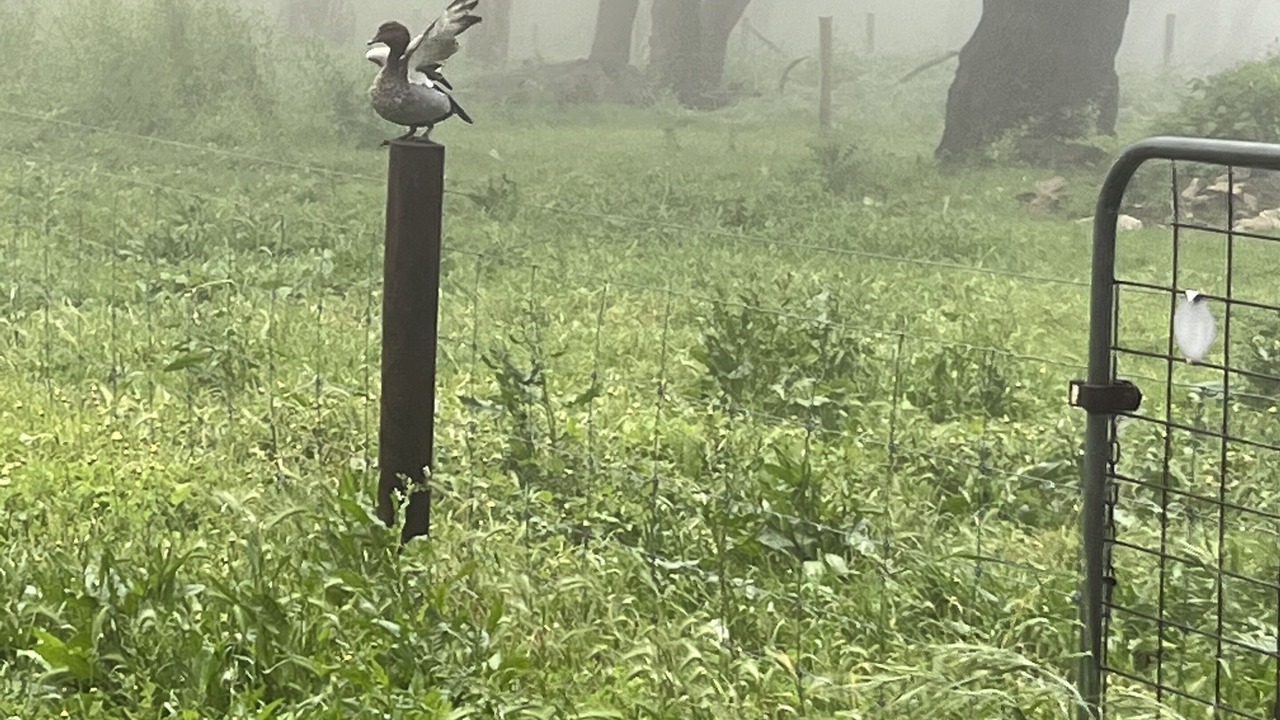 Photo of Outdoor in Kuitpo