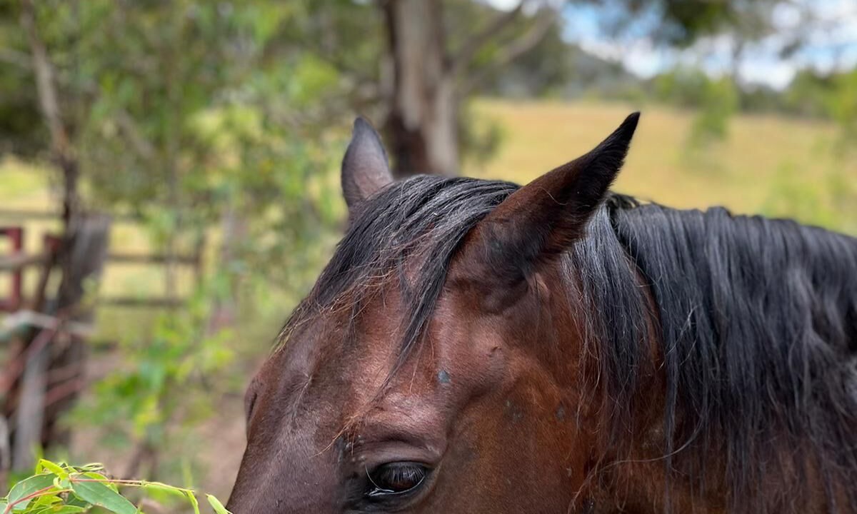 Photo of Outdoor in Hartley