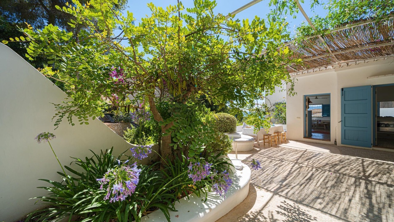 Photo of Patio Balcony in Aduanas