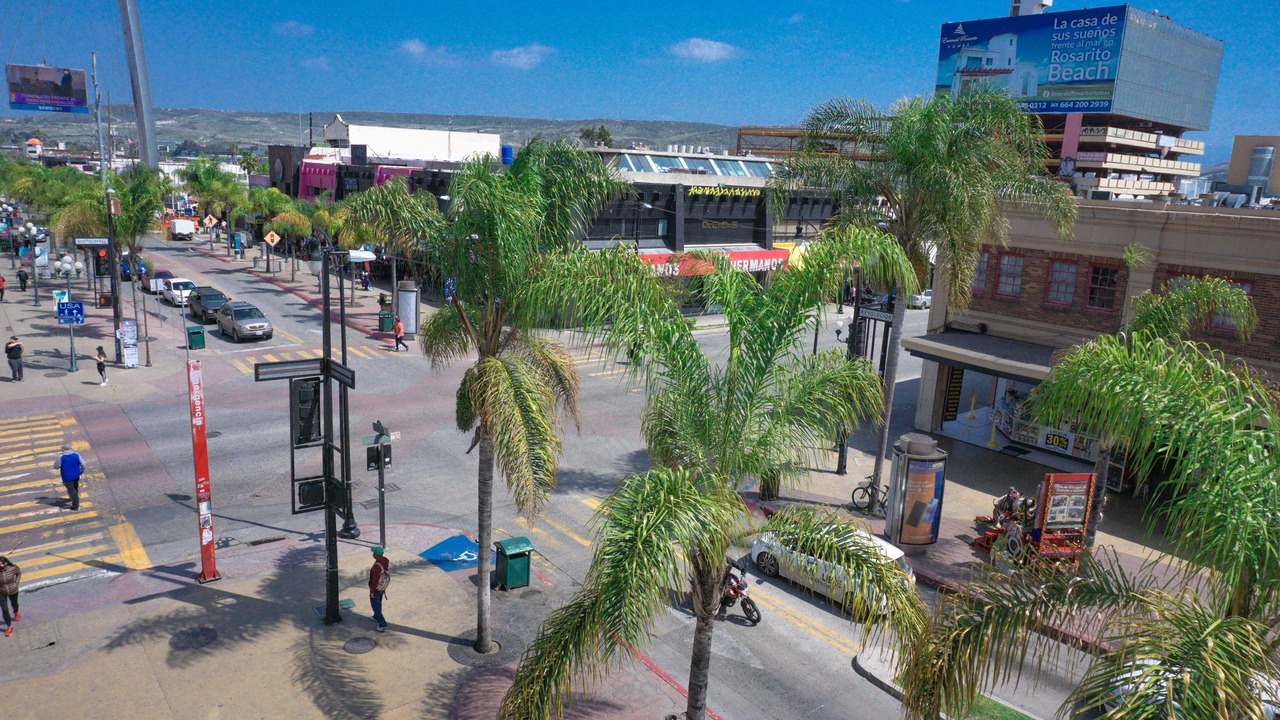 Photo of Outdoor in Avenida Revolucion