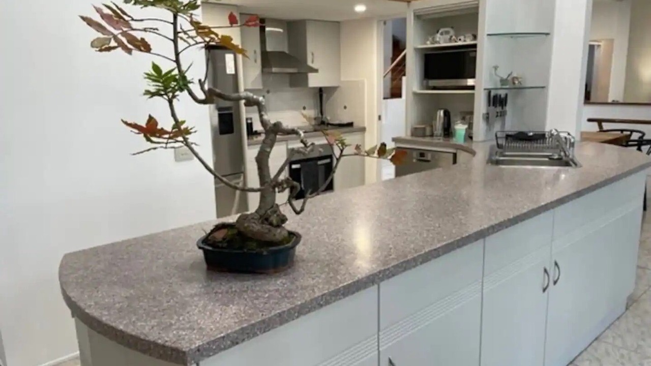 Photo of Kitchen in Vincentia