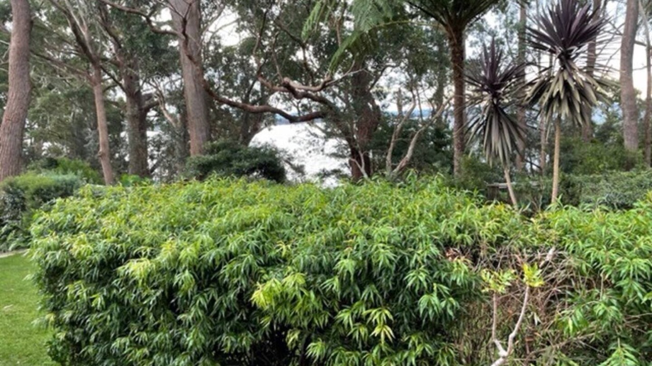 Photo of Outdoor in Vincentia