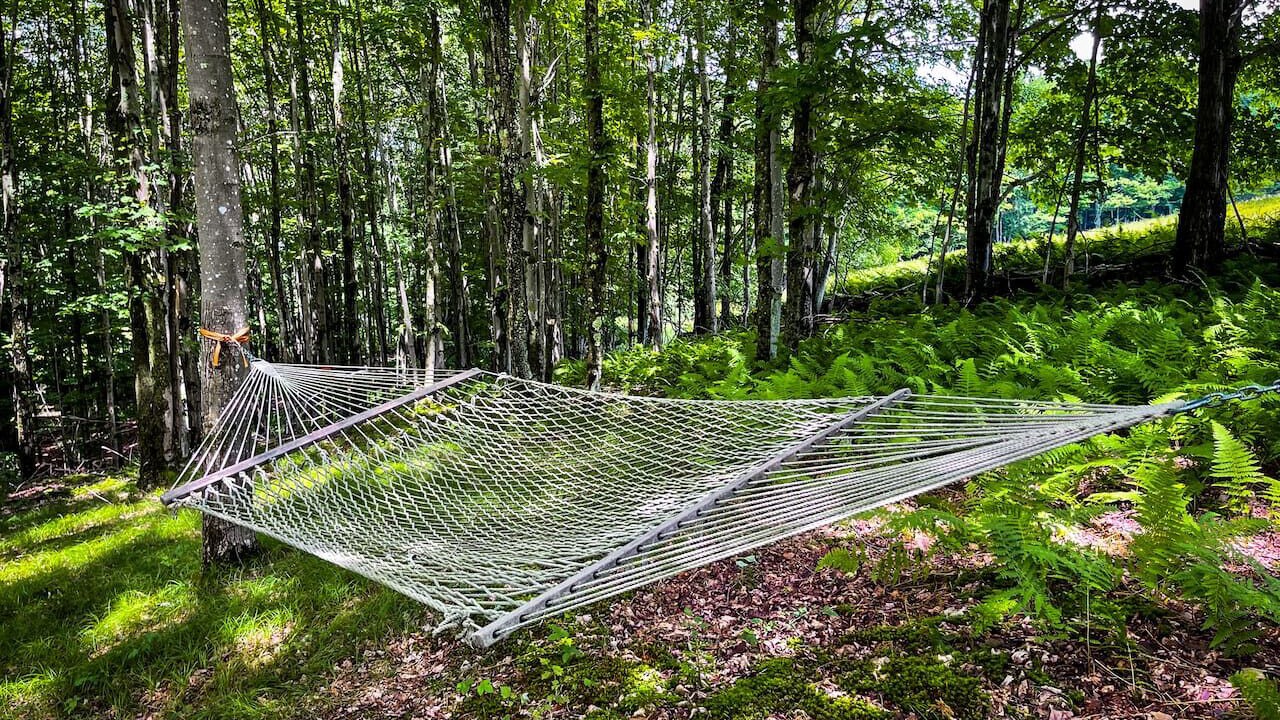 Photo of Outdoor in Bovina Center